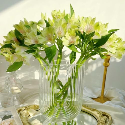 Semillas de plantas de alstroemeria, Semillas de variedades antiguas, decoración de flores, Alstroemeria híbrida, Semillas de flores perennes resistentes. Las plantas de jardín de 60pcs