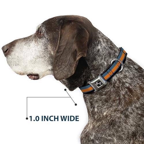 Collier pour chien large 3,8 cm boucle métal Buckle-Down - 7