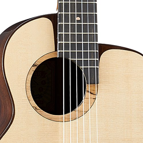 Amazon | aNueNue （ アヌエヌエ ） aNN-MN214 Bird Guitar Series
