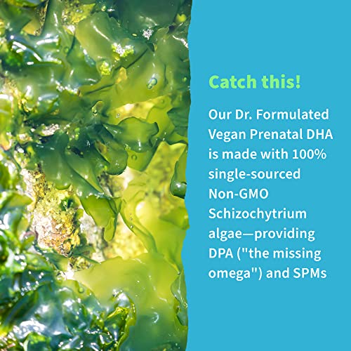 Garden Of Life 103542 Dr. Formulated Prenatal Vegan Dha - Certified Vegan Omega 3 Supplement thumb #6