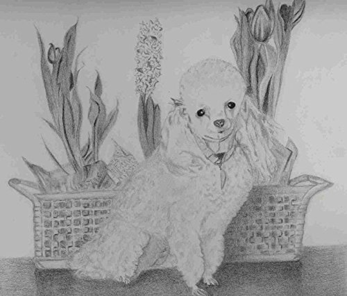 Custom sketch of your adorable pet. Art by T Pence