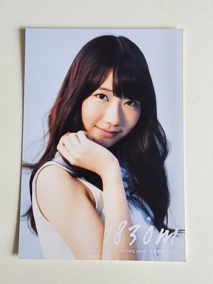Amazon.co.jp: AKB48 柏木由紀 1830m 封入特典 生写真 : おもちゃ