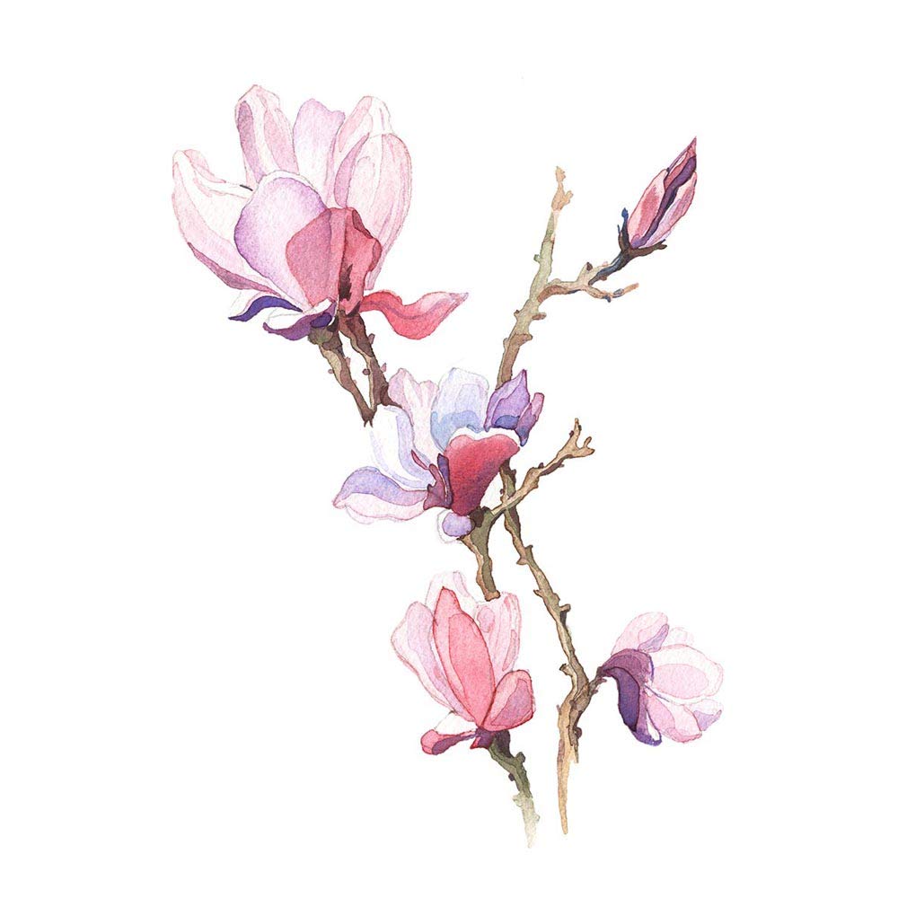 Wee Blue Coo Flower Magnolia Watercolour Art Print Poster Wall Decor 12X16 Inch