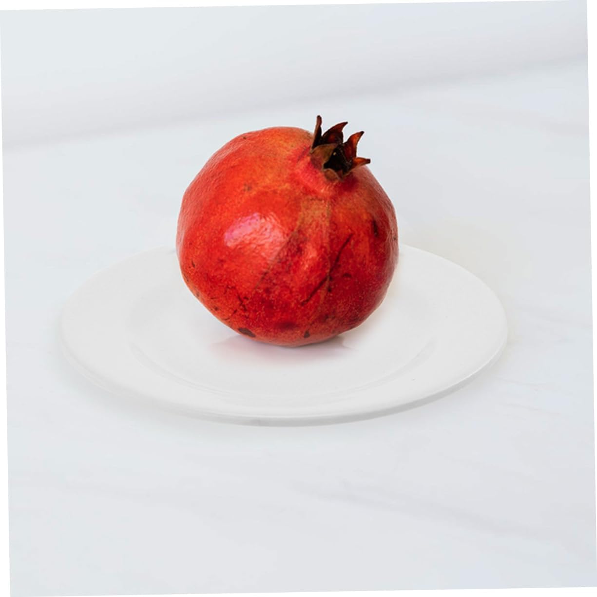 PRETYZOOM 6pcs Round Serving Dish Snack Plates for Fruits Appetizers and Parties Non-breakable Lightweight Kitchenware for Indoor and Outdoor Use