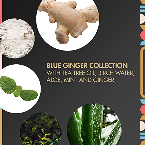 My Black Is Beautiful Clarifying Sulfate Free Shampoo For Build Up, For Dry And Damaged Hair, Blue Ginger And Mint, 9.6 Fl Oz #TOP4