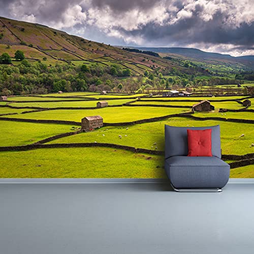Papier peint adhésif protection murale 250x104cm décor moderne Champ du Yorkshire