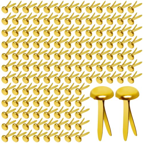 Hapy Shop Paper Brass Fasteners, 3/4-Inch Metal Brass Brads Round Brads for Paper Crafts Making DIY, 300 Pack