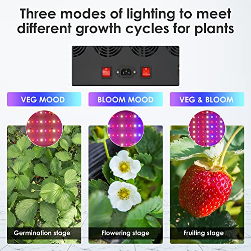 Luyimin 4000W Led Grow Light, Full Spectrum Plant Light With Daisy Chain, Grow Lights For Indoor Plants Greenhouse Hydroponic Seedling Growing Lamps With Veg Bloom Switch Coverage 6.5X6Ft #TOP1