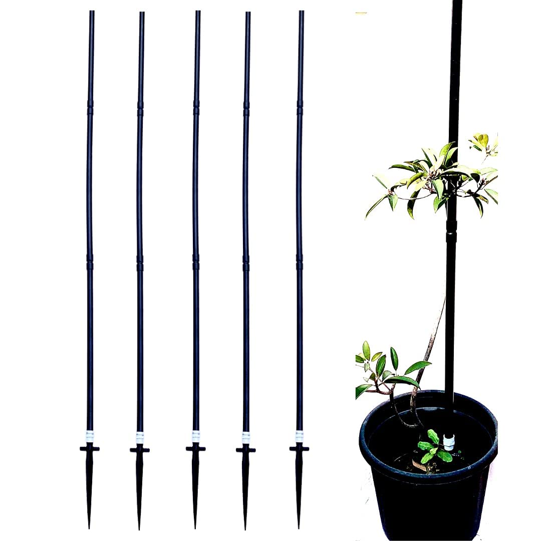 Plant Support Stick & Straightener for Creepers/Climbers/Plant Stem Support/Climbing Support(Black | Pack of 5 | 5 Feet Each) for Home Indoor & Outdoor Plants by Invelligen (B08W3GXVP7) Amazon Price History, Amazon Price Tracker