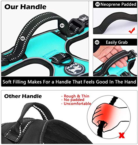Image of PoyPet No Pull Dog Harness, No Choke Front Lead Dog Reflective Harness, Adjustable Soft Padded Pet Vest with Easy Control Handle for Small to Large Dogs(Mint Blue,S)