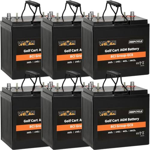 Weize GC8 8V Golf Cart Battery, 182AH High Capacity & Maintenance Free...