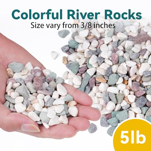 Image of 5 lbs Natural Pea Gravel Pebbles for Aquarium, Fish Tank, 3 /8 inch Decorative Pebbles for Indoor Plants, Succulent, Bamboo, Vase, Drainage Rocks for Potted Plants, Top Dressing, Mixed Color