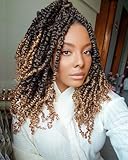 Passion Twist Hair 14 Inch 8 Packs Twisted Passion Twist Crochet Hair For Black Women Pre Looped Passion Twist Curly Crochet Hair, Short Crochet Passion Twist Hair (14 Inch (Pack of 8), T27#)