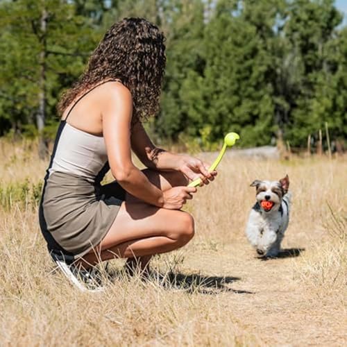 Chuckit! Air Fetch Hundespielzeug, Größe M, 6,3 cm Durchmesser, für Hunde von 9-27 kg, 2 Stück