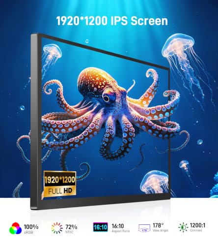 Image of 14 inch Touchscreen Monitor(Inky)