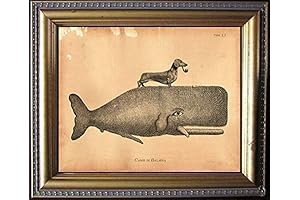 Dachshund Dog Riding Whale Vintage Photo Prints Matte