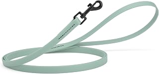 Dogline Biothane Waterproof Dog Leash Strong Coated Nylon Webbing with Black Hardware Odor-Proof Easy to Clean High Performance for Small or Large Dogs Made in USA 4 or 6 ft Lead, Sage Green