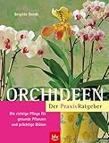 BLV Buchverlag