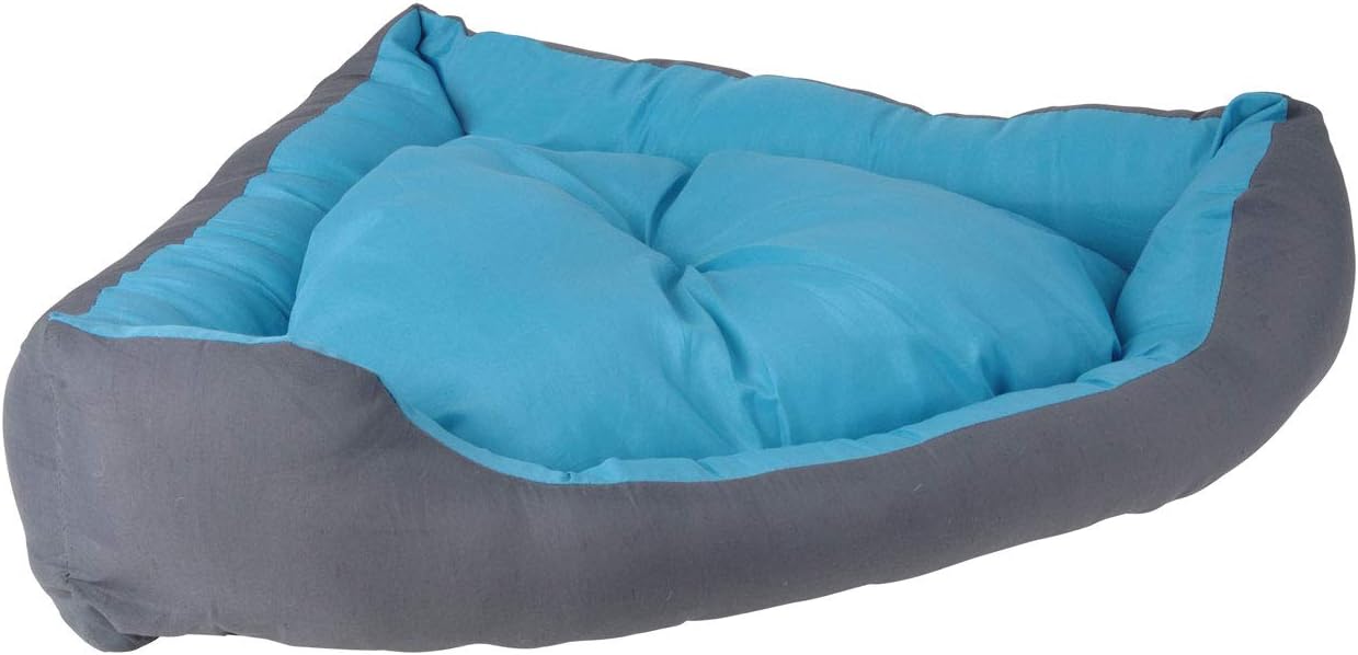 blue dog bed