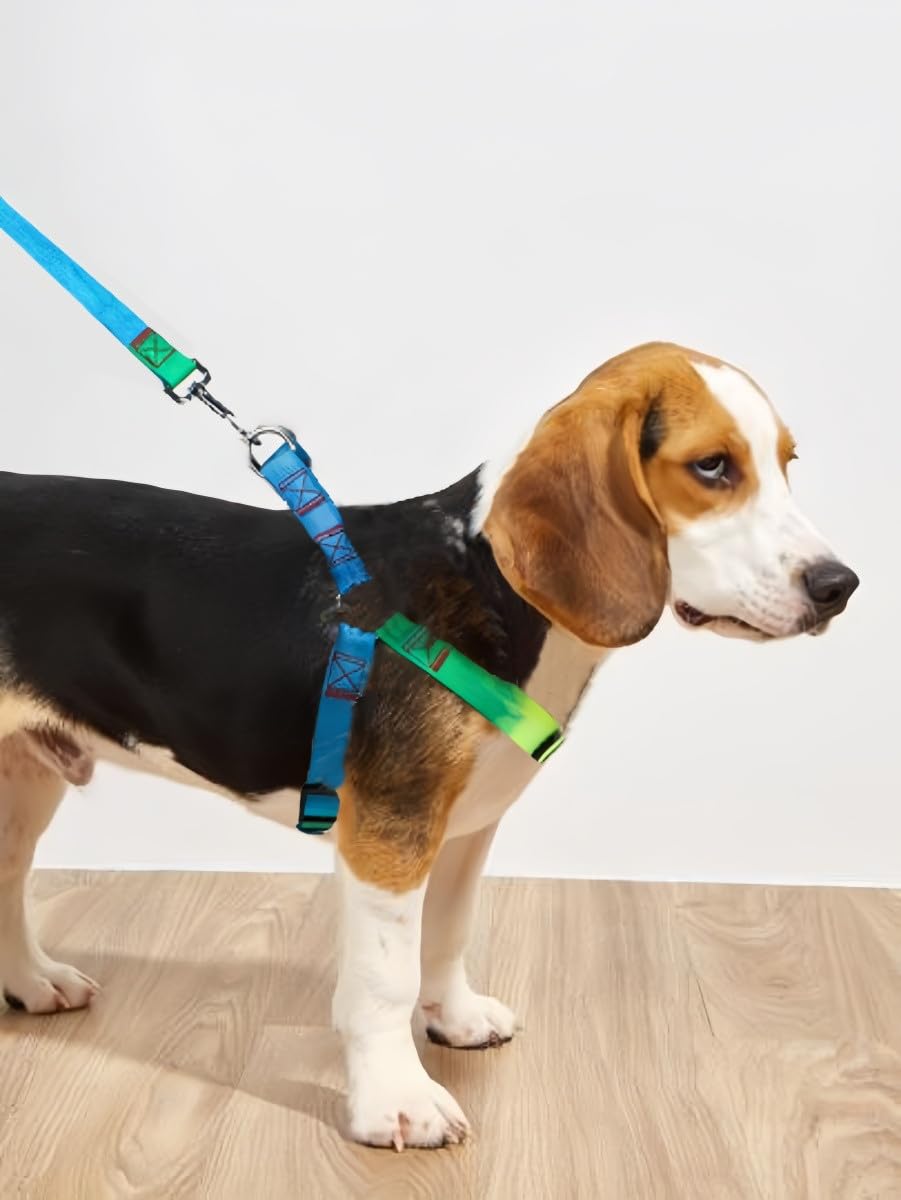 花井子 大型犬 ハーネス 犬 ハーネス おしゃれ 犬用ハーネス 首輪 Amazon | 花井子 大型犬 ハーネス 犬 ハーネス おしゃれ 犬用