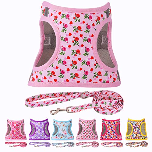 Moonpet Step In Valentine's Day Dog Harness Leash Set- All Weather Reflective No-Pull Floral Pattern Padded Mesh Vest Harness For Cats Puppy Extra-Small Small Medium Large Dogs - Heart Rose - S #TOP5