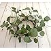 idyllic Eucalyptus Leaves Wreath Metal Polyester Green Wreath 14 Inches for The Front Door Décor, 1 Pack