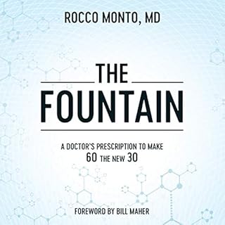 The Fountain cover art