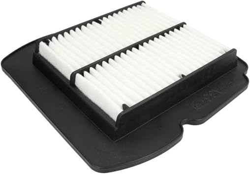 Hiflofiltro HFA3612 Premium OE Replacement Air Filter