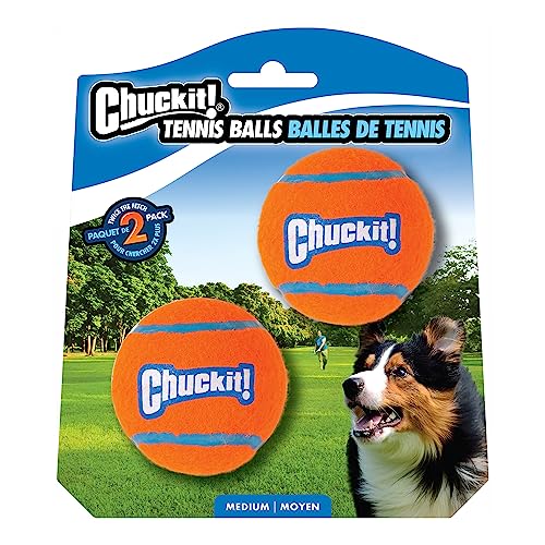 Schmeiß es weg! Tennisball-Hundespielzeug, robust, geeignet für Apportierspiele, geeignet für Hunde, Größe M, 2er-Pack