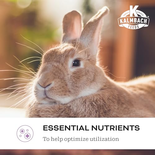 Kalmbach Feeds Belly Booster Premium Probiotics miniatura 4