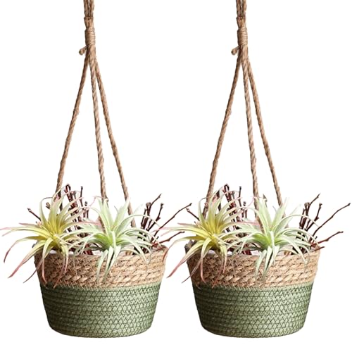 BEIJIALY 2er-Pack Hängender Pflanzkorb aus Seegras, Gewebter Rattan-Pflanzenaufhänger, Hängender Rattan-Pflanzgefäß, Makramee-Pflanzenaufhänger, Blumentopfhalter für Garten, Draußen,(Grün)