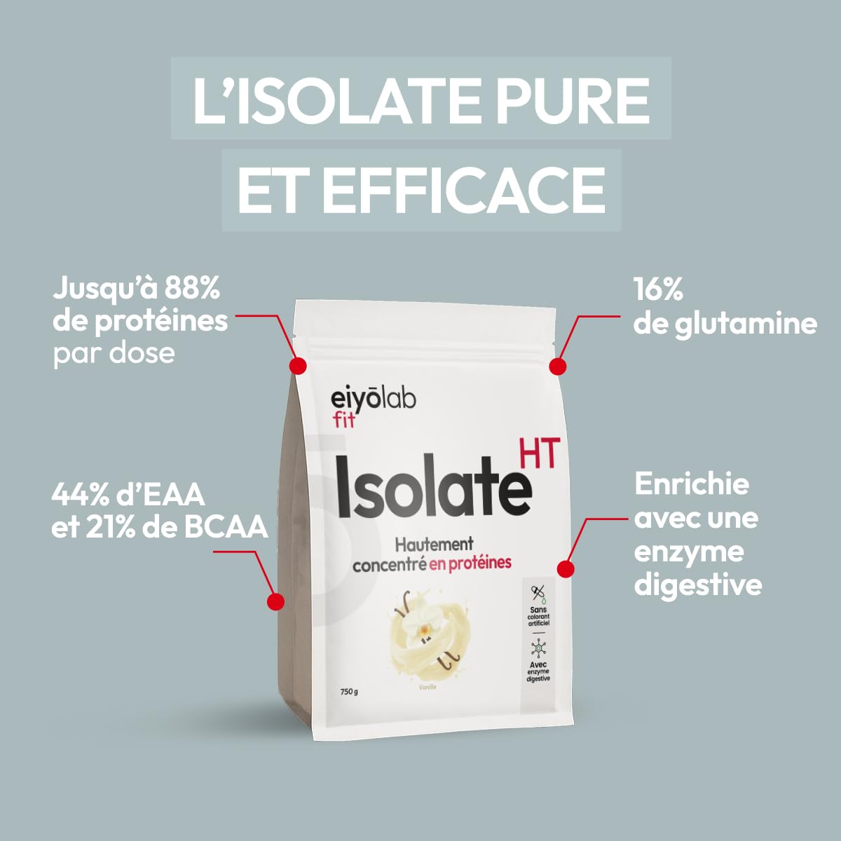 ISOLATE HT | Whey Isolat de Protéines en Poudre | Jusqu’à 88% de Protéines | Riche en BCAA + Glutamine | Musculation Rapide et Sèche | Faible en Lactose | Onctueuse Saveur Vanille | 750g | Eiyolab
