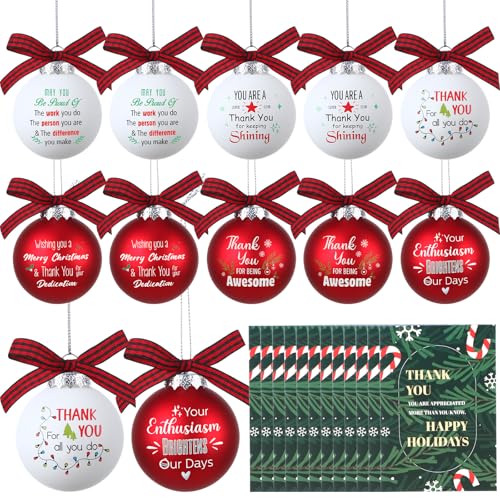 Sotiff 12 Set Christmas Team Gifts for Employees 2025 Hanging