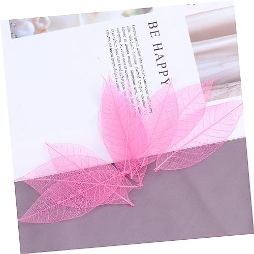 FUNOMOCYA 50 Peças Folhas De Esqueleto Secas Folhas De Artesanato Arte De Esqueleto Folhas De Árvore