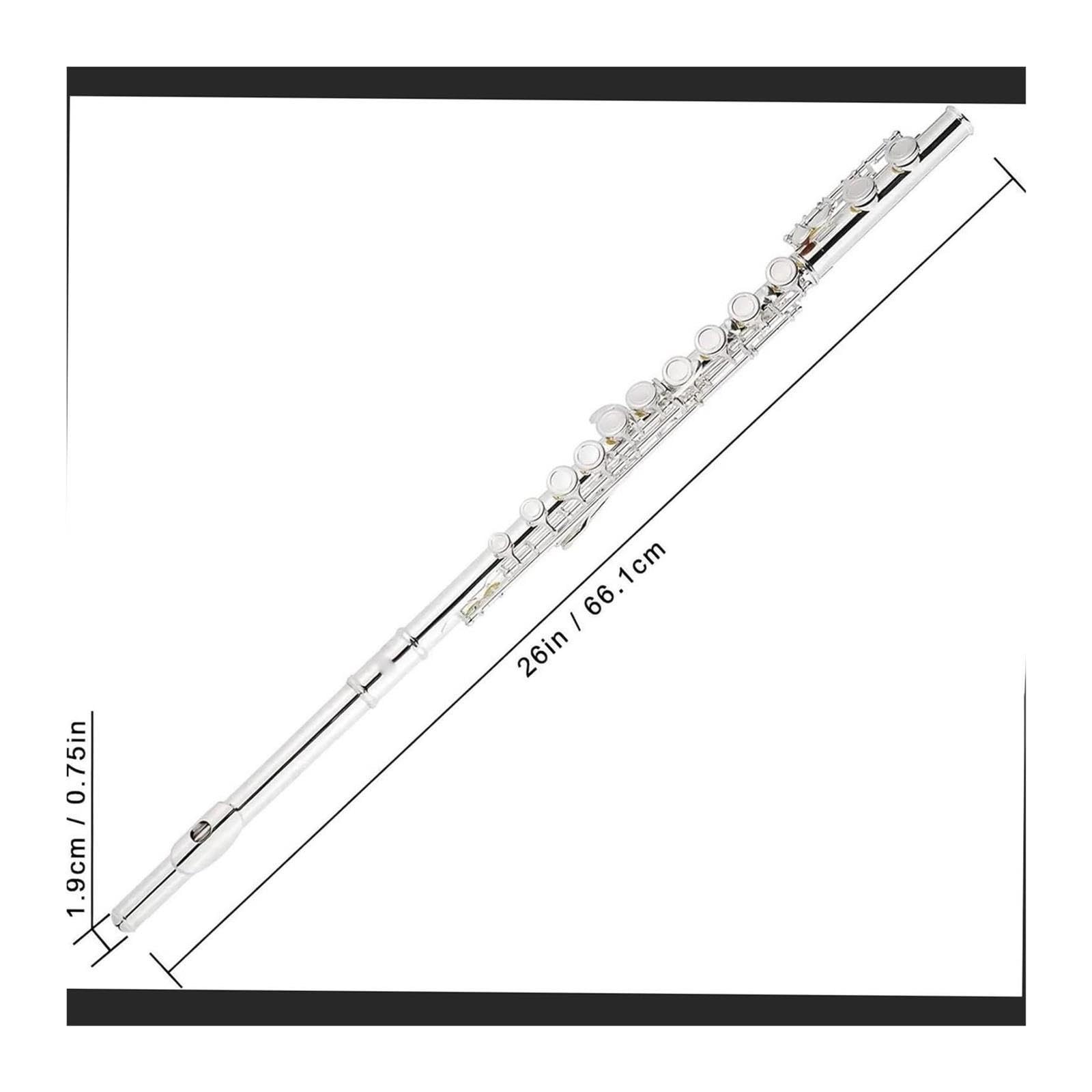 Flute Flauta C de 16 hoyos