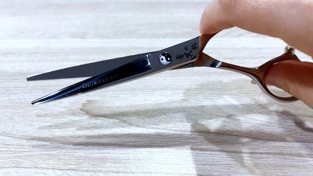 Amazon.com : Hair Cutting Scissors Professional - 6” Japanese 440C