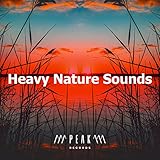 Jungle Sound Productions