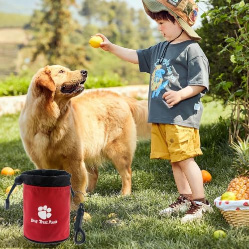 Bolsa de golosinas para pasear perros cómodamente cada mañana en el parque 4