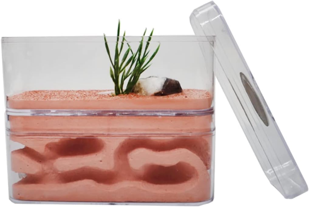 Nido de observación estereoscópica acrílico Hormiguero transparente, hormiguero, hormiguero ecológico, caja de cría, taller de hormigas, caja de alimentación Estudio del comportamiento de la colonia