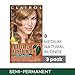 Clairol Natural Instincts Semi-Permanent Hair Dye, 8 Medium Natural Blonde Hair Color, 3 Count