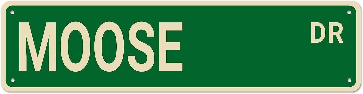 MOOSE DR Vintage Tin Signs Art Plaque Aluminum for Bedroom Kitchen Garden Wall Bar Club Coffee Hanging Home Decor 4x16 Inch