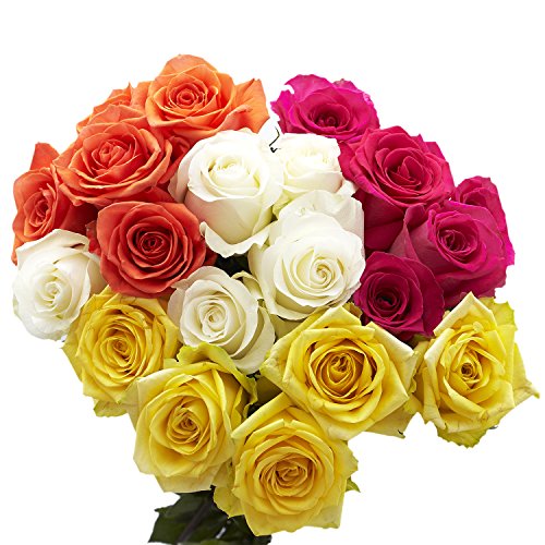 GlobalRose 50 Assorted Roses- 2 Beautiful Colors- Next Day Flower Delivery