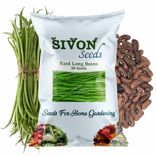 Image of SIVON Yard Long Beans (Barbati, Lambi Phali) (30 Seeds) Vegetable Seeds for Home Garden, Organic & Hybrid, Perfect for Home Gardening, Planting For Pots and Patio