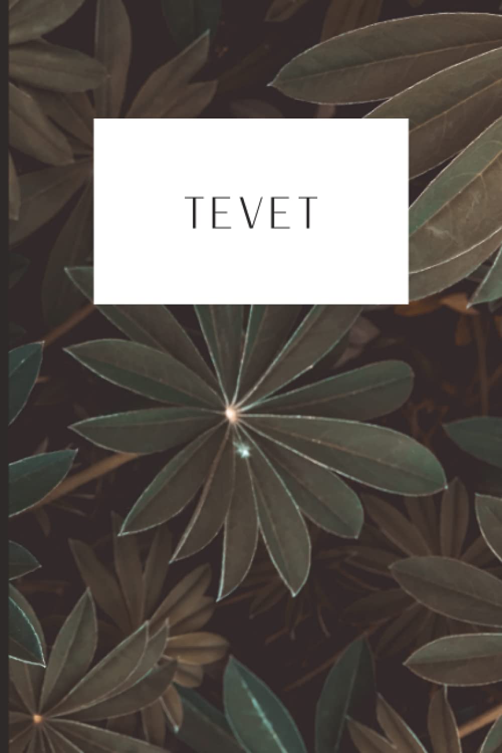 Hebrew Month Prayer Journal: Tevet: Paperback, 120 Pages (Hebrew Month Prayer Journal: Spiritual Growth Series (Set of 12 Journals))