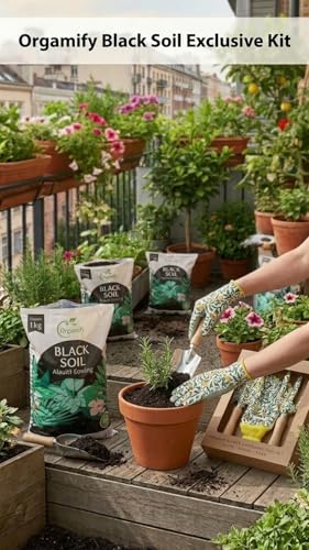 Image of Black Soil Essential Kit - Big Saver for Every Indian Home (3-Piece Gardening Tool Set + 1KG Black Soil)