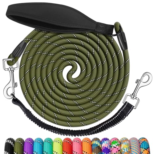 NTR Dog Leash for Large Dogs, 30FT Long Dog Leash with Swivel Hooks & Ergonomic Padded Handle, Detachable Bungee Training Lead for Walking, Hunting, Camping for Small Medium Large Dog NTR Dog Leash for Large Dogs, 30FT Long Dog Leash with Swivel Hooks & Ergonomic Padded Handle, Detachable Bungee Training Lead for Walking, Hunting, Camping for Small Medium Large Dog