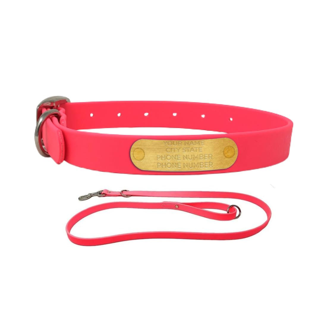 Regal Dog Products Medium Pink with Custom Engraved Waterproof Dog Collar and Leash Set | Waterproof Dog Collar with Double Buckle & D Ring - 5'ft