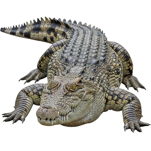 Image of Crocodile Cardboard Cutout 5FT Life Size, Fun Animal Standup | 1 PC, for Events, Party Decor, Birthday & Photos, Standee, Photo Prop, Home Decoration, Kids Party, Birthday Gift, Holiday