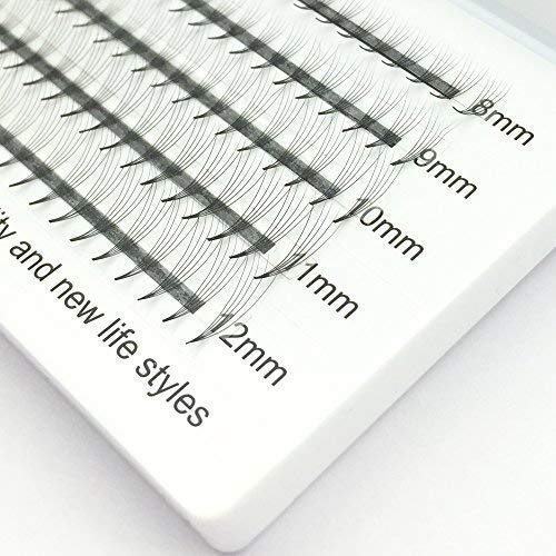 EMEDA 150PCS 5D Premade Fans Eyelash Extensions Mixed Tray 8-12mm 0.07mm C Curl Short Length 8mm 9mm 10mm 11mm 12mm 13mm 14mm Premade Fanned Russian Volume Lash Extensions (5D 8-12mm Mix 07 C)