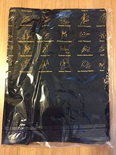 お宝限定 2枚セットラグビー日本代表 サイン入りティーシャツ RWC2015